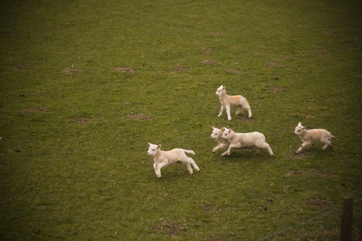 img_3104 img_3104