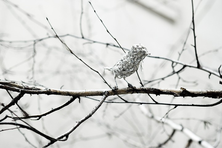 _DSC0035