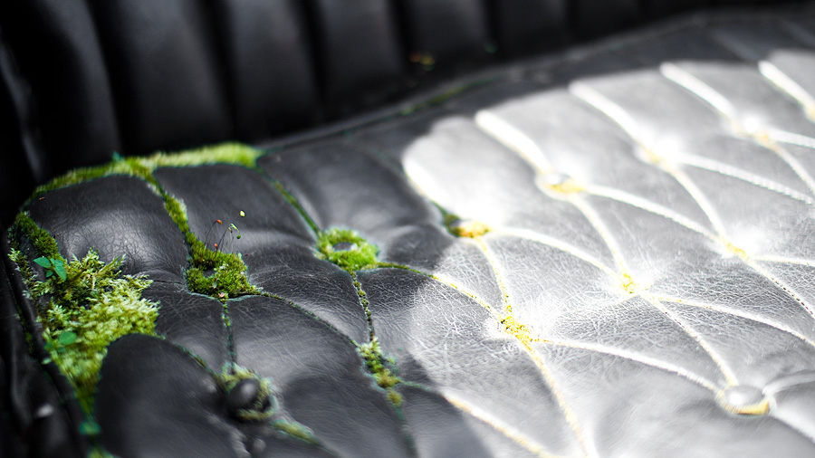 IMG_1276