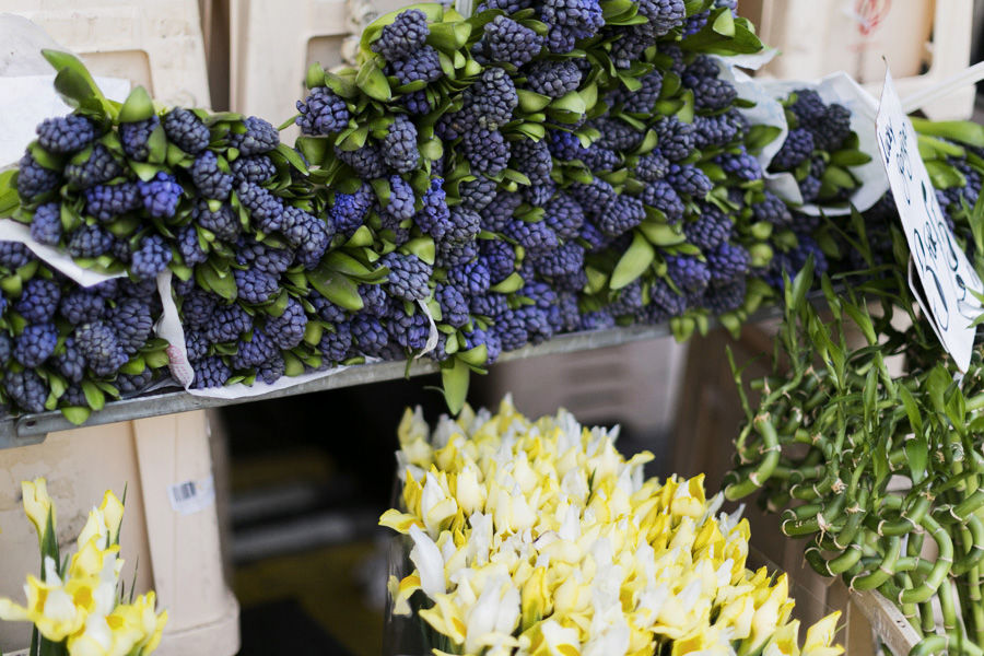 Park-Cube_Columbia-road-flower-market_02