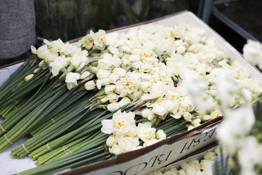 Park-Cube_Columbia-road-flower-market_09