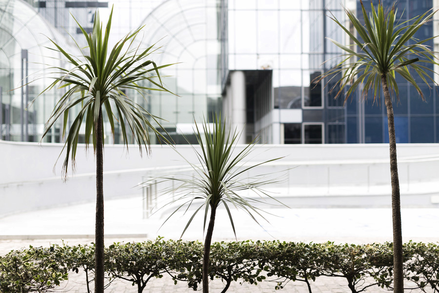 Park-and-Cube_Canary-Wharf_008