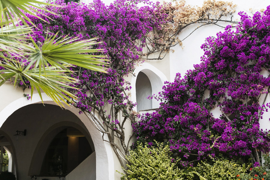 Park-and-Cube_Forte-Village-1_04