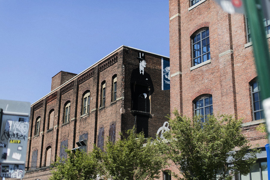Park-and-Cube_NYC-Levis_02