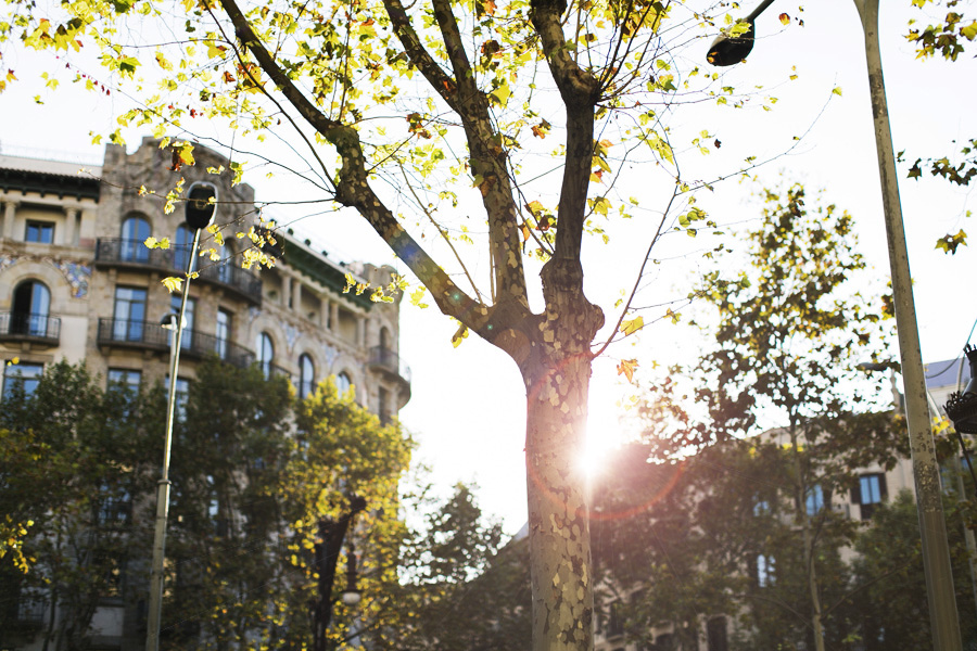 Park-Cube_Barcelona_002