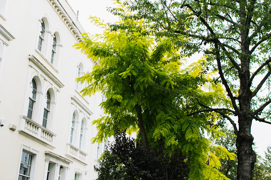 Park-Cube_Notting-Hill-Gap_05