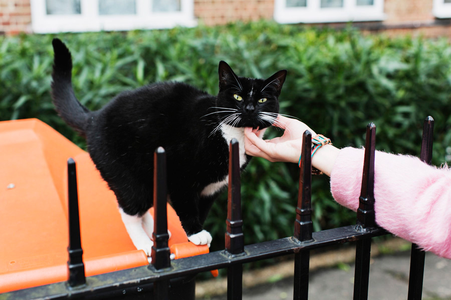 Park-Cube_Notting-Hill-Gap_19