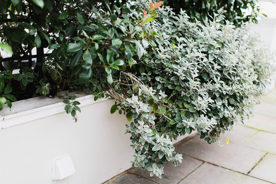 Park-Cube_Notting-Hill-Gap_20