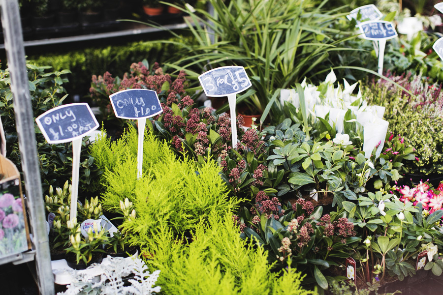 Park-and-Cube_Broadway-Flower-Market-Winter_006