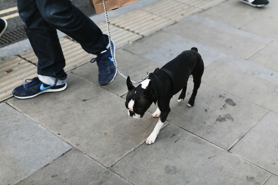 Park-and-Cube_Broadway-Market-Saturday_21