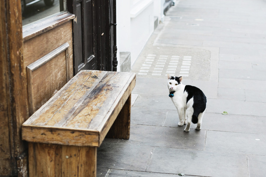 ParknCube_Charlie-May-White-coat_05