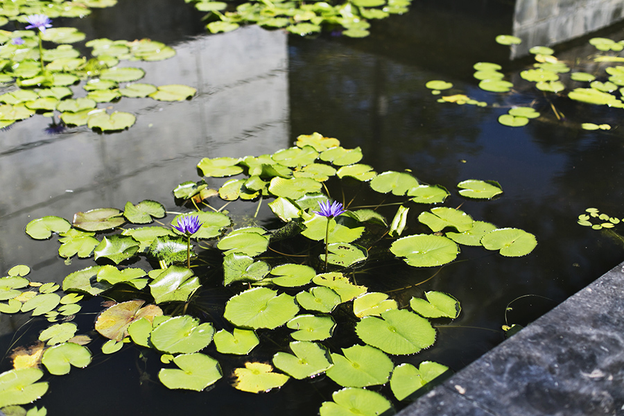 ShiniPark_ABNS-1_06