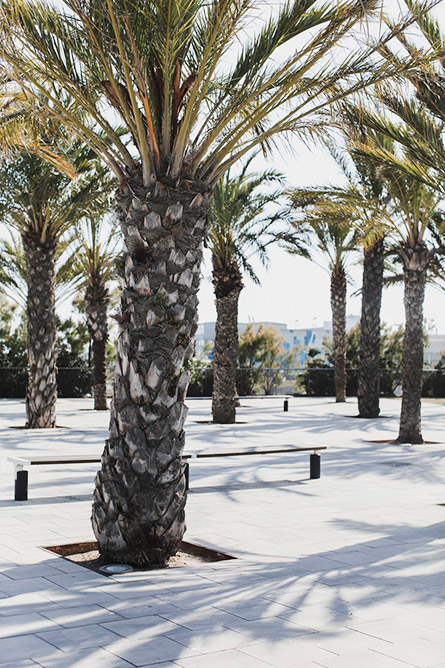 Park-and-Cube_Gap-StyldBy-Barcelona_14_1
