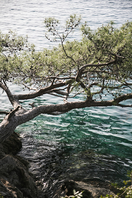 Park-and-Cube_Hillside-Beach-Club_023