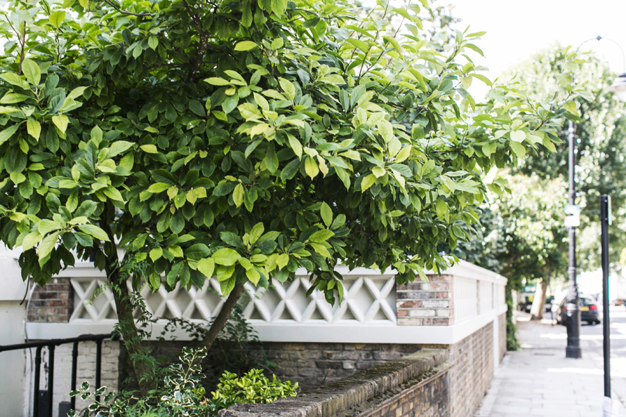 Park-and-Cube_Primrose-Hill-Monica-Vinader_020