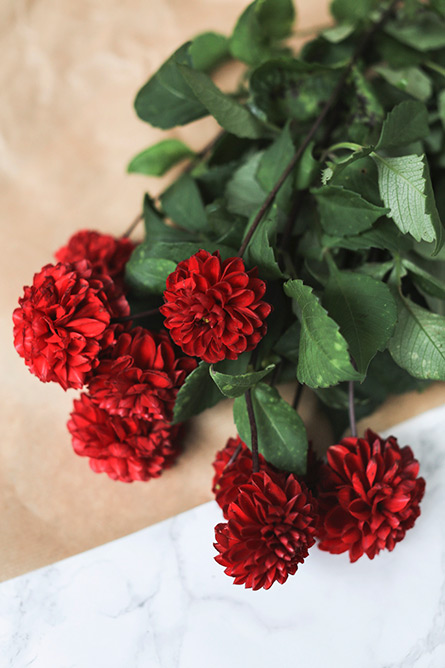 ParknCube_Sunday_Flowers_009