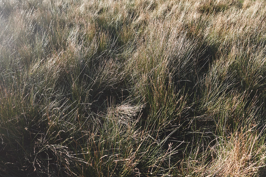 Park-and-Cube_Barbour_012