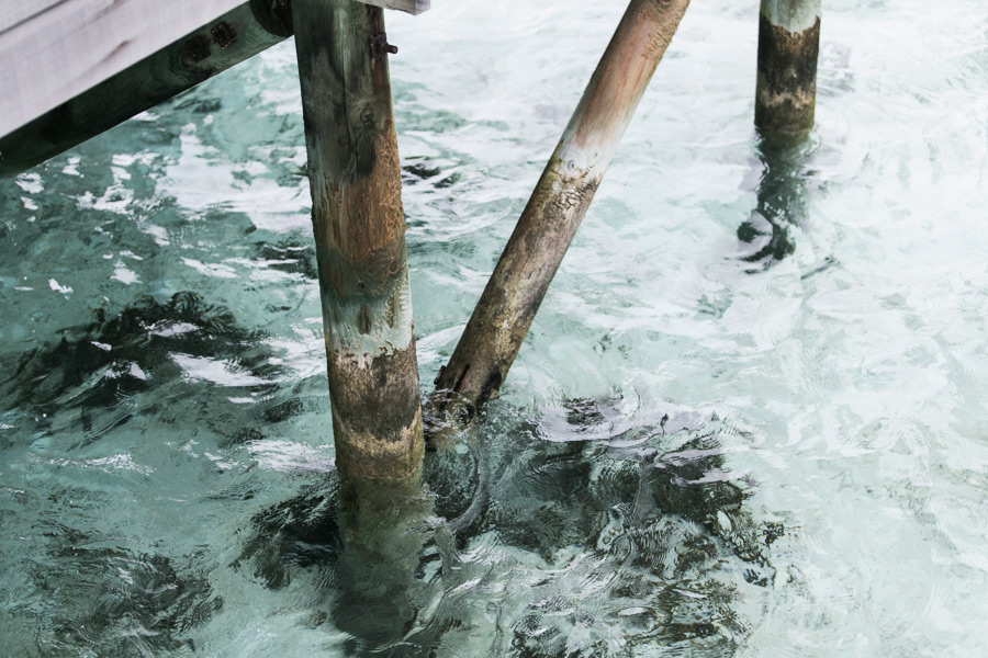 Park-and-Cube_Conrad-Maldives-Water-Villas_0021
