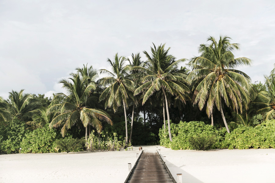 Park-and-Cube_Conrad-Maldives-Water-Villas_0026