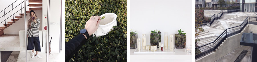 Park-and-Cube_AMOREPACIFIC-Jeju_013