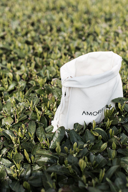 Park-and-Cube_AMOREPACIFIC-Jeju_019