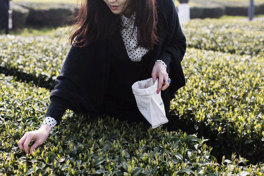 Park-and-Cube_AMOREPACIFIC-Jeju_020b