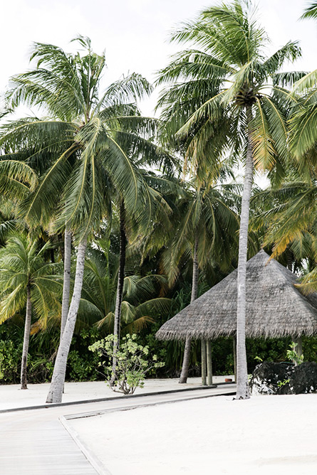 Park-n-Cube_Conrad-Maldives_Part2_021