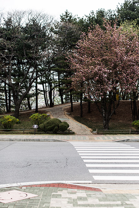 Park-and-Cube_Seoul-Conrad_11