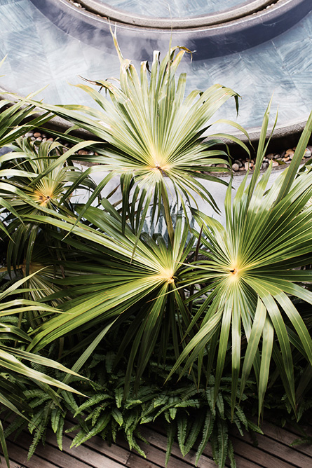 Park-and-Cube_Royal-Palm-Mauritius_008