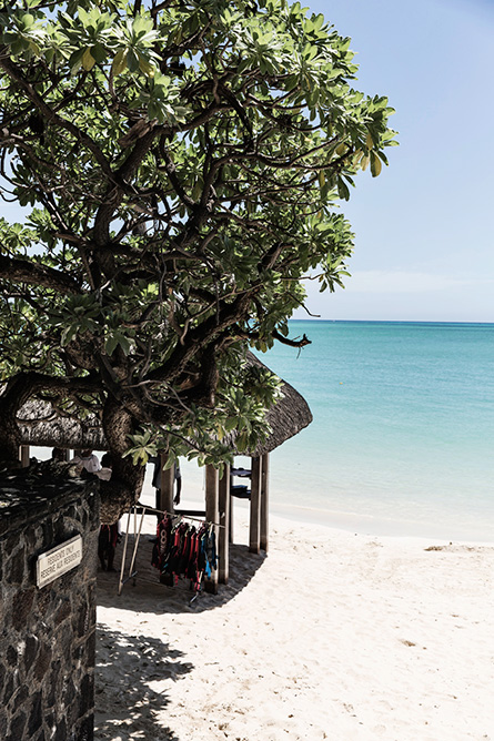 Park-and-Cube_Royal-Palm-Mauritius_015