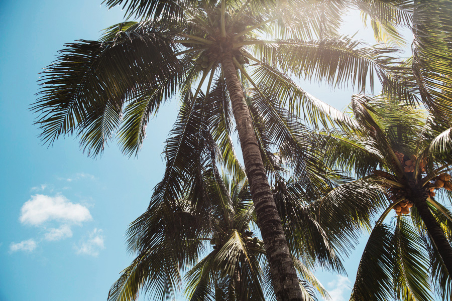 Park-and-Cube_Royal-Palm-Mauritius_018