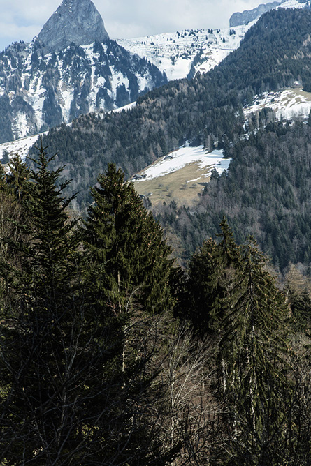 ParknCube_Grand-Bellevue-Gstaad-pt1_004