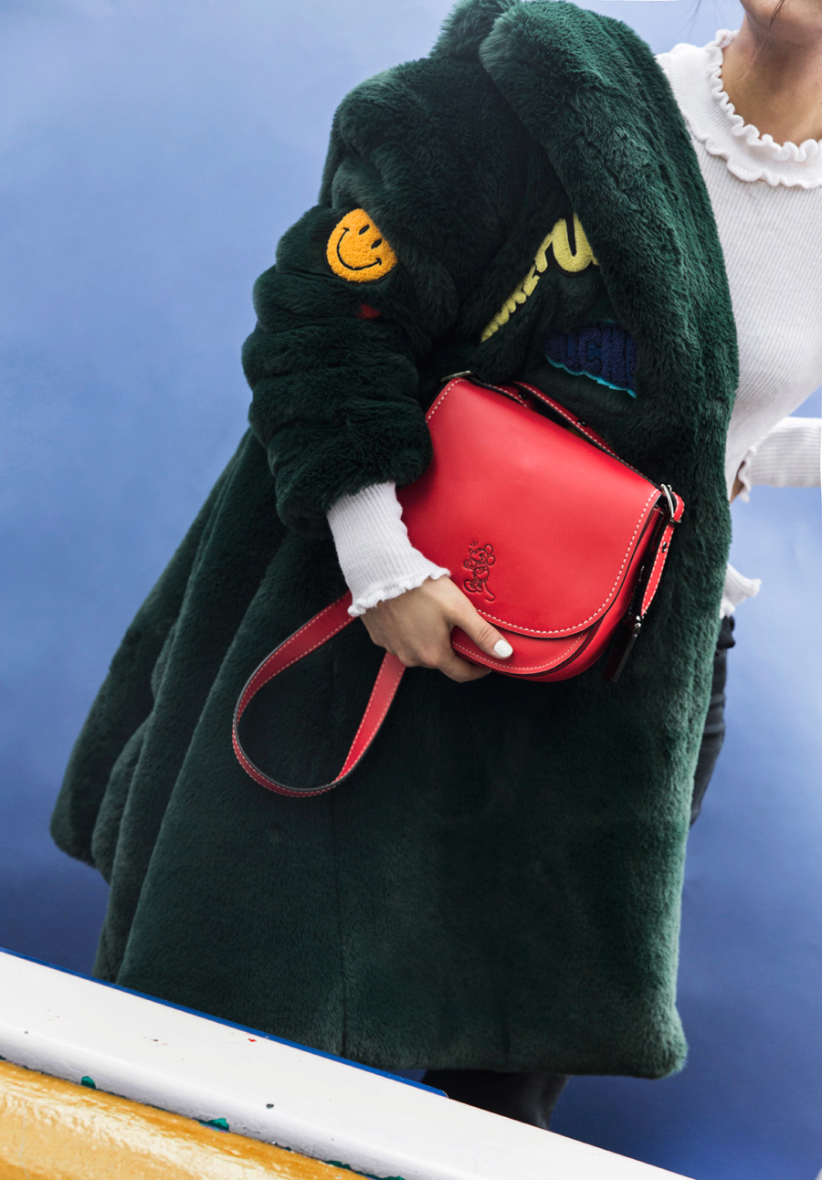 ParknCube_Coach-Disney_0001