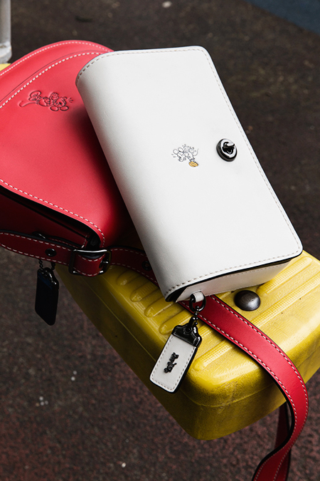 ParknCube_Coach-Disney_0003