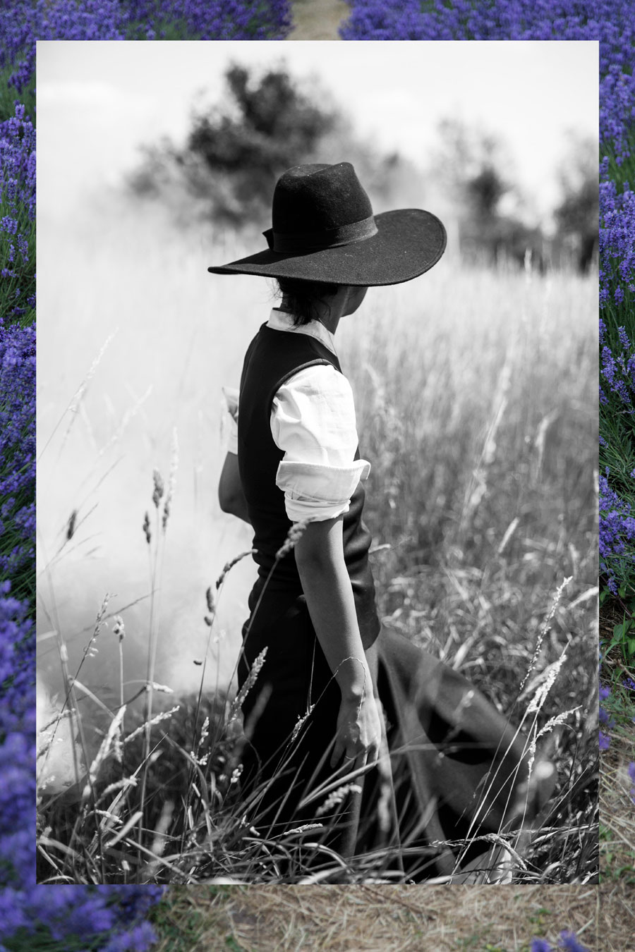 parkncube_cartier-lavendar-field_005