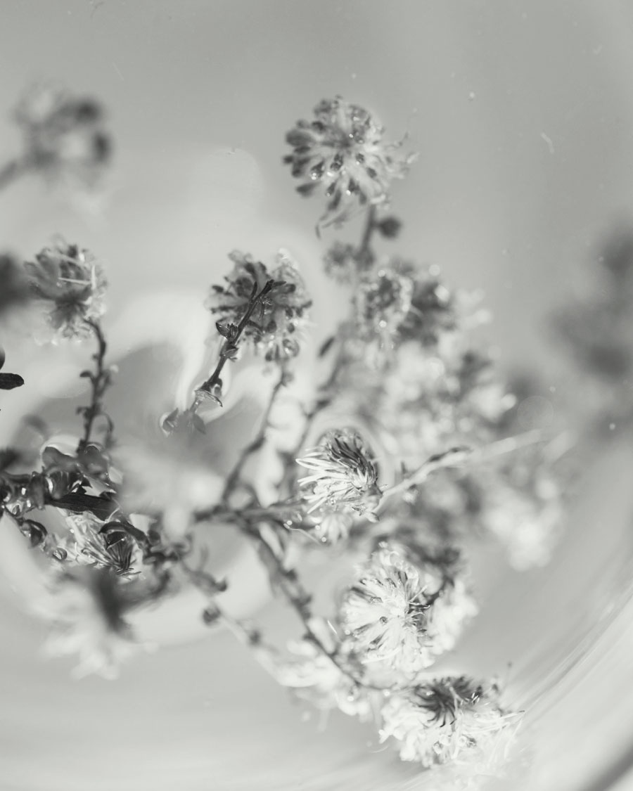 ParknCube_Roger-Gallet-Aura-Mirabillis-009