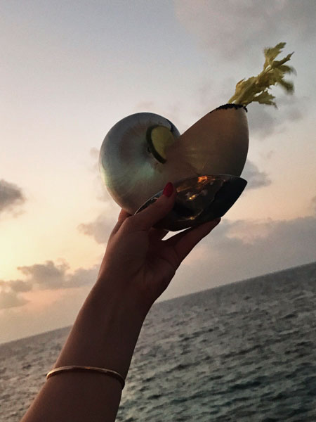 ParknCube_StRegisMaldives_017s